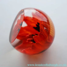 Load image into Gallery viewer, CAITHNESS GLASS. Vintage 1999 Paperweight. RED POPPY by Helen MacDonald
