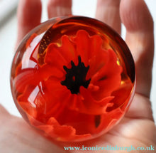 Load image into Gallery viewer, CAITHNESS GLASS. Vintage 1999 Paperweight. RED POPPY by Helen MacDonald
