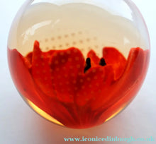 Load image into Gallery viewer, CAITHNESS GLASS. Vintage 1999 Paperweight. RED POPPY by Helen MacDonald
