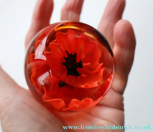 Load image into Gallery viewer, CAITHNESS GLASS. Vintage 1999 Paperweight. RED POPPY by Helen MacDonald
