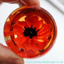 Load image into Gallery viewer, CAITHNESS GLASS. Vintage 1999 Paperweight. RED POPPY by Helen MacDonald
