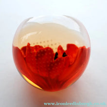 Load image into Gallery viewer, CAITHNESS GLASS. Vintage 1999 Paperweight. RED POPPY by Helen MacDonald
