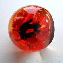 Load image into Gallery viewer, CAITHNESS GLASS. Vintage 1999 Paperweight. RED POPPY by Helen MacDonald
