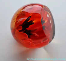 Load image into Gallery viewer, CAITHNESS GLASS. Vintage 1999 Paperweight. RED POPPY by Helen MacDonald
