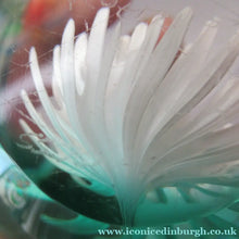 Load image into Gallery viewer, Scottish Paperweight Caithness Glass White Aster 1999
