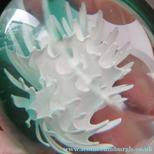 Load image into Gallery viewer, Scottish Paperweight Caithness Glass White Aster 1999
