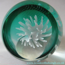 Load image into Gallery viewer, Scottish Paperweight Caithness Glass White Aster 1999
