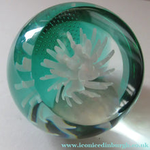 Load image into Gallery viewer, Scottish Paperweight Caithness Glass White Aster 1999
