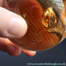 Load image into Gallery viewer, 2000 Caithness Glass Optic Paperweight. Wise Owl by Alastair Macintosh - Paperweight
