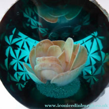 Load image into Gallery viewer, Limited Scottish Caithness Glass Paperweight. Rose Basket. Colin Terris
