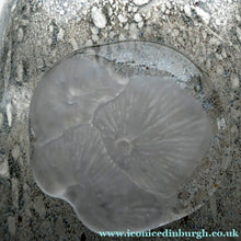 Load image into Gallery viewer, LARGE Kosta Boda Fossil Vase by Kjell Engman (2000). Height 10 3/4 inches. Signed
