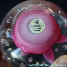 Load image into Gallery viewer, SELKIRK GLASS 2000 Scottish Paperweight with Pink Lampwork Flower
