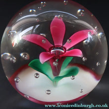 Load image into Gallery viewer, SELKIRK GLASS 2000 Scottish Paperweight with Pink Lampwork Flower
