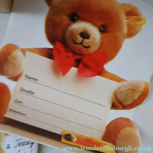 Load image into Gallery viewer, BOXED: Vintage 2002 STEIFF BEAR. Large Classic LIMITED EDITION British Collector's Bear (660726)
