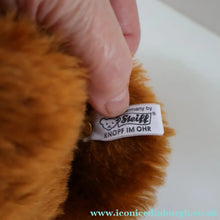 Load image into Gallery viewer, BOXED: Vintage 2002 STEIFF BEAR. Very Large Classic LIMITED EDITION "Bear 55 PB 1902" Bear EAN (663123)
