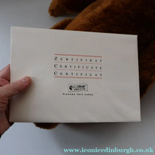 Load image into Gallery viewer, BOXED: Vintage 2002 STEIFF BEAR. Very Large Classic LIMITED EDITION "Bear 55 PB 1902" Bear EAN (663123)
