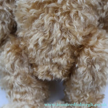Load image into Gallery viewer, BOXED: Vintage 2002 STEIFF BEAR.  Very Large Classic LIMITED EDITION "Centenary Bear" EAN (670985)
