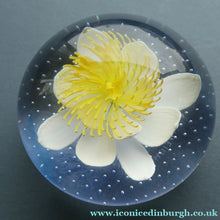 Load image into Gallery viewer, CAITHNESS GLASS. Vintage 2002 Paperweight. PURITY OF HEART by Helen MacDonald
