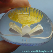 Load image into Gallery viewer, CAITHNESS GLASS. Vintage 2002 Paperweight. PURITY OF HEART by Helen MacDonald
