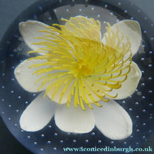 Load image into Gallery viewer, CAITHNESS GLASS. Vintage 2002 Paperweight. PURITY OF HEART by Helen MacDonald
