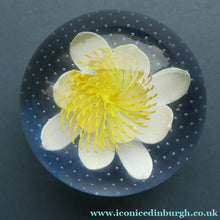 Load image into Gallery viewer, CAITHNESS GLASS. Vintage 2002 Paperweight. PURITY OF HEART by Helen MacDonald
