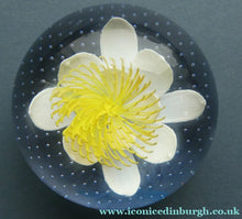 Load image into Gallery viewer, CAITHNESS GLASS. Vintage 2002 Paperweight. PURITY OF HEART by Helen MacDonald
