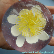 Load image into Gallery viewer, CAITHNESS GLASS. Vintage 2002 Paperweight. PURITY OF HEART by Helen MacDonald
