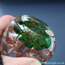 Load image into Gallery viewer, Vintage 2002 COLIN TERRIS Caithness Glass Paperweight: MOONLIGHT SERENADE. From the Classic CollectionVintage 2002 COLIN TERRIS Caithness Glass Paperweight: MOONLIGHT SERENADE. From the Classic Collection
