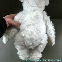 Load image into Gallery viewer, STEIFF CLUB BEAR (2002). Plush White Long Hair Mohair Teddy Bear
