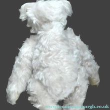 Load image into Gallery viewer, STEIFF CLUB BEAR (2002). Plush White Long Hair Mohair Teddy Bear
