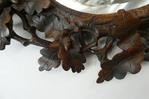 Antique 1880s BLACK FOREST WALL MIRROR Decorated with Oak Leaves and Acorns