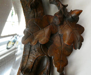 Antique 1880s BLACK FOREST WALL MIRROR Decorated with Oak Leaves and Acorns