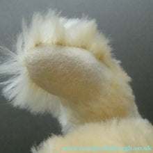 Load image into Gallery viewer, STEIFF LIMITED EDITION Teddy Bear (2003) Prince William 21st Birthday Steiff Bear

