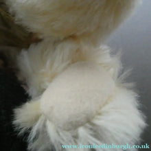 Load image into Gallery viewer, STEIFF LIMITED EDITION Teddy Bear (2003) Prince William 21st Birthday Steiff Bear
