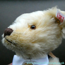 Load image into Gallery viewer, STEIFF LIMITED EDITION Teddy Bear (2003) Prince William 21st Birthday Steiff Bear
