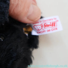 Load image into Gallery viewer, SCOTTISH BEAR. Delightful 2003 Vintage STEIFF BEAR. Limited Edition Small Black Bear Wearing White Felt JENNERS Waistcoat

