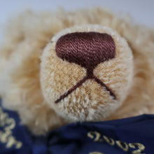 Load image into Gallery viewer, BOXED: Vintage 2002 STEIFF BEAR.  Very Large Classic LIMITED EDITION &quot;Centenary Bear&quot; EAN (670985)
