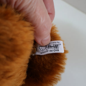 BOXED: Vintage 2002 STEIFF BEAR. Very Large Classic LIMITED EDITION "Bear 55 PB 1902" Bear EAN (663123)