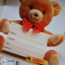 Load image into Gallery viewer, BOXED: Vintage 2002 STEIFF BEAR. Large Classic LIMITED EDITION British Collector&#39;s Bear (660726)

