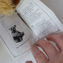 Load image into Gallery viewer, Vintage GEBRUDER BING Style / Steiff Musical Bear. Limited Edition of only 500. Musical No-No Lullaby Teddy Bear
