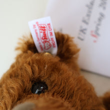 Load image into Gallery viewer, BOXED: Vintage 2004 STEIFF BEAR. Classic Brown Bear with Tags (O38938)
