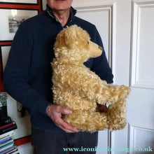 Load image into Gallery viewer, BOXED: Vintage 2004 STEIFF BEAR. Very Large Classic LIMITED EDITION Baerle 43 PAB 1904 Bear (404153)
