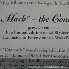 Load image into Gallery viewer, LARGE Steiff Bear. Limited Edition 2004. Captain Mach. The CONCORDE BEAR
