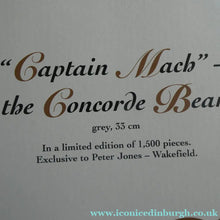 Load image into Gallery viewer, LARGE Steiff Bear. Limited Edition 2004. Captain Mach. The CONCORDE BEAR
