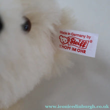 Load image into Gallery viewer, BOXED: Highly Collectable Vintage 2005 SWAROVSKI STEIFF BEAR with Christmas Crysal Star Pendant (668401)
