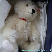 Load image into Gallery viewer, BOXED: Highly Collectable Vintage 2005 SWAROVSKI STEIFF BEAR with Christmas Crysal Star Pendant (668401)
