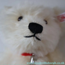 Load image into Gallery viewer, BOXED: Highly Collectable Vintage 2005 SWAROVSKI STEIFF BEAR with Christmas Crysal Star Pendant (668401)
