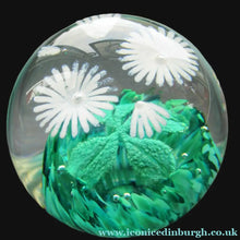Load image into Gallery viewer, Scottish Caithness Glass Paperweight: Wildflower Collection Issue 2006 Daisies
