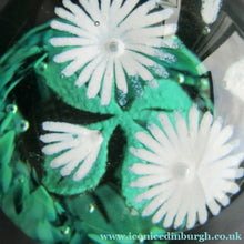 Load image into Gallery viewer, Scottish Caithness Glass Paperweight: Wildflower Collection Issue 2006 Daisies
