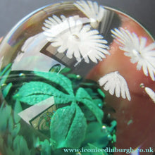 Load image into Gallery viewer, Scottish Caithness Glass Paperweight: Wildflower Collection Issue 2006 Daisies
